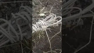 Один сигнал решил весь коп