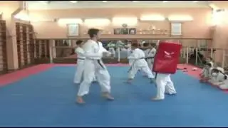 ГТРК ЛНР  Вести спорт  Каратэ 29 05 2016г