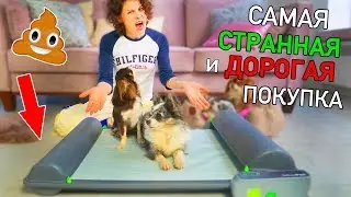ПОТРАТИЛА 25 000 ЗРЯ! ТУАЛЕТ ДЛЯ СОБАК КОТОРЫЙ САМ УБИРАЕТ! КУПИЛА В США СОБАЧИЙ ТУАЛЕТ ЧТО НЕ ТАК?