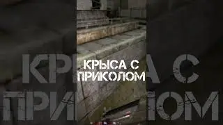КРЫСА КАМИКАДЗЕ?! Новый Мутант в Сталкер. 