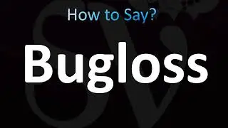 How to Pronounce Bugloss