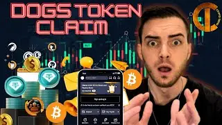 Dogs Token Claim 🔥 How to Claim and Withdraw Your $DOGS Token to Bybit?