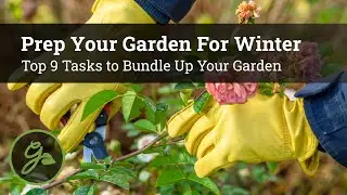How To Prep Your Garden For Winter / Top 9 Tasks To Clean-Up & Bundle-Up Your Garden