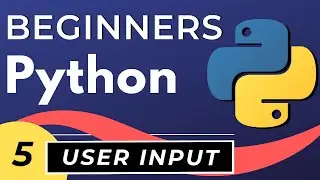 Python User Input & Control Flow | Python tutorial