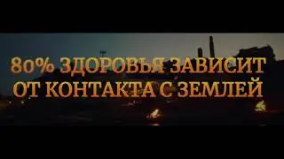 Между Землей и Небом – Война! Продолжение о микробиоте.