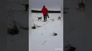 Bravo  в гостях у GaidJewel's. Новогодние каникулы.