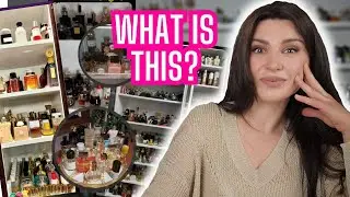 Reacting to YOUR fragrance collections! ✨What your fragrances say about you