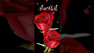 حج کا مہینہ تمام مسلمانوں کو مبارک ھو#islamicvideo #nature #qurantranslation #viral #love 🌄