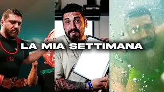 POWERLIFTER E IMPRENDITORE EMIGRATO: LA MIA SETTIMANA TIPO