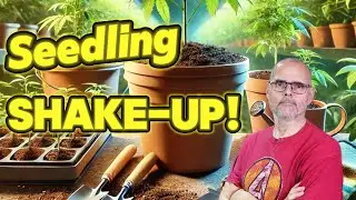 Seedling Switch-Up: Here’s What I Chose Instead #marshydro #ts1000 #fce3000 #vg80