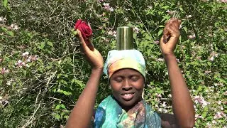 We Travel We Travel We Travel We Are Travelers in The Paradise Within And Within 💚