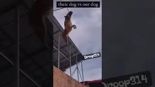 Watch till the end!