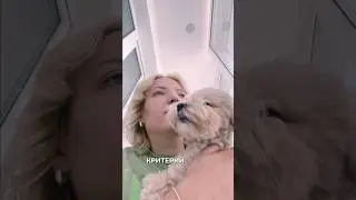 Ира Мягкова и её сожитель Толик