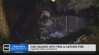 Car crashes into tree in Sacramento, bursts into flames