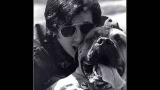 The Story of Rocky - by Tony Robbins