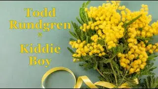 Todd Rundgren - Kiddie Boy
