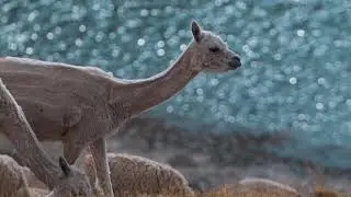 Porque viajo  y busco naturaleza.