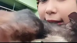 Cippol kucing manja. 