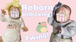 Reborn Doll Box Opening! (Reborn Twins Part 2)
