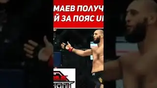 Чимаев получит бой за пояс UFC 