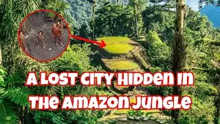 Scientists Have Just Found A Lost City Hidden In The Amazon