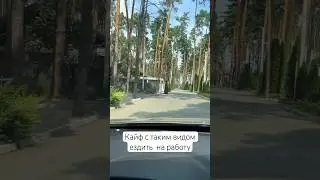 23 августа 2024 г.