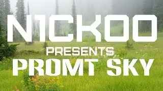 N1CKOO - PROMT SKY