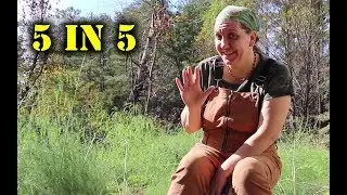 5 Gardening Tips in 5 minutes 
