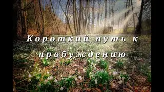 Короткий путь к пробуждению Nikosho