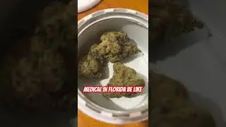 Medical in Florida be like #medicinal #tree #fire