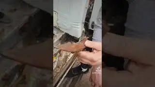 Нашел КОГОТЬ ДЕСЕПТИКОНА! 