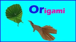 Origami : How to make a paper Peacock,