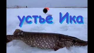 Устье Ика