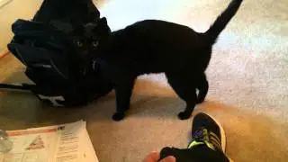Tobie Greets me at the door