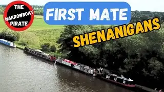 Navigating Canals & Canines | Socialising My Rescue Dog to Canal Living & Beyond [Ep 114]