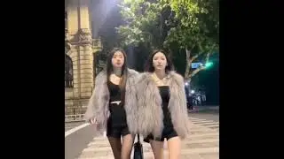 fur coat 012