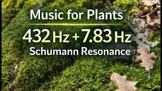 432 Hz Healing Music + 7.83 Hz Schumann Resonance 🌱 Powerful Music for Plants & Plant Lovers