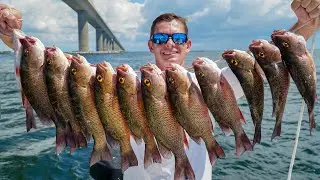 This BRIDGE was LOADED! Catch Clean Cook (Mangrove Snapper)