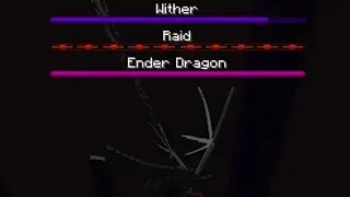 The Wither, Raid, Ender dragon, all at once  [Hard mode]