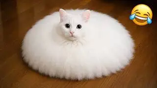 Funny ANIMALS videos 😂 | Funniest Cats and Dogs 2025 🐶😼 Part 252