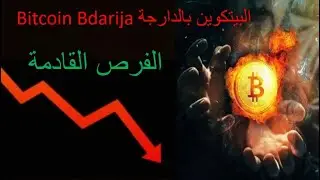 Bitcoin Bdarija البيتكوين بالدارجة Samoyed coin مناطق الشراء #Bitcoin #crypto #trading #البيتكوين