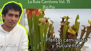 La Ruta Carnívora Vol. 15 - Bio Psy