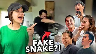 Fake Snake Prank On Family! | Niana Guerrero