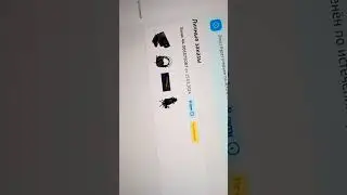 трачу отпускные