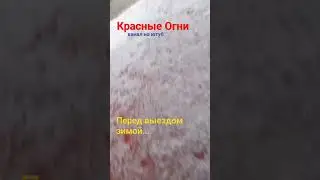 Перед выездом, зимой... #short #лайфхах #советы_зимой_автовладельцам.