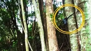 Trail Camera Moved Into The Bush - Will leave for 7 Days