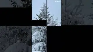 #muntelemic