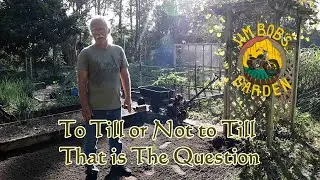 To TIll or Not to Till That is The Question