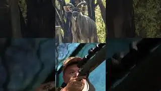 Охота на экстра-трофей - Куду Настоящие кадры с охоты! Полный фильм - https://youtu.be/rxx87yep20Eы
