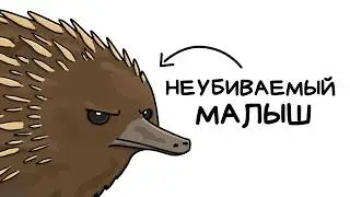 You are an Echidna (and you are REALLY lucky)